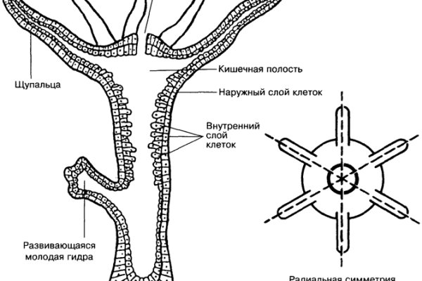 Кракен ссылка на сайт com