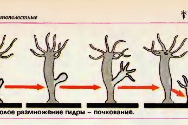 Кракен сайт 18at