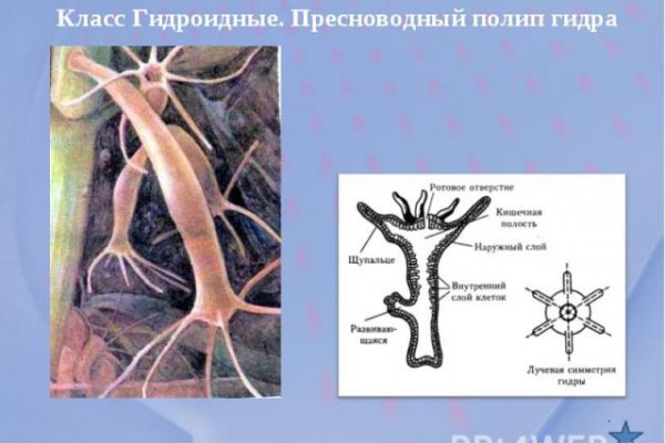 Что с кракеном сайт на сегодня